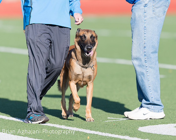 20150410_AWDF__seq388_BrianAghajani.jpg