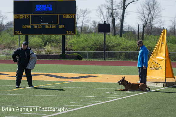 20150410_AWDF__seq3456_BrianAghajani.jpg