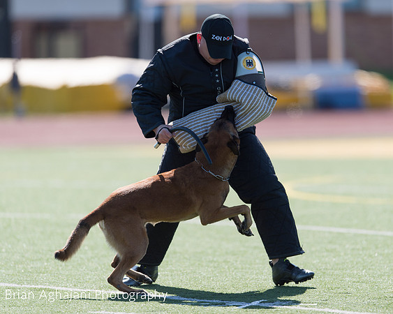 20150410_AWDF__seq1395_BrianAghajani.jpg