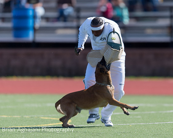 20150410_AWDF__seq1436_BrianAghajani.jpg