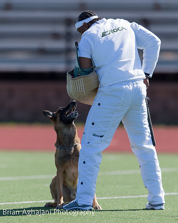 20150410_AWDF__seq1451_BrianAghajani.jpg
