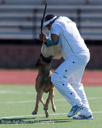 20150410_AWDF__seq1453_BrianAghajani.jpg