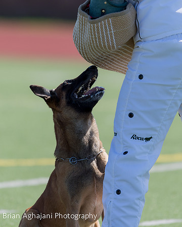 20150410_AWDF__seq1465_BrianAghajani.jpg