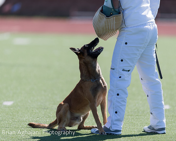 20150410_AWDF__seq1468_BrianAghajani.jpg