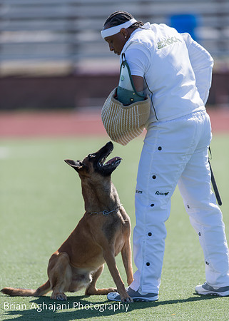 20150410_AWDF__seq1471_BrianAghajani.jpg