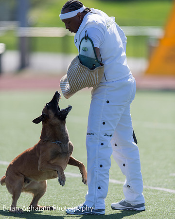 20150410_AWDF__seq1477_BrianAghajani.jpg