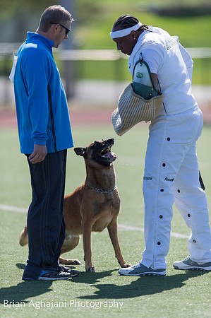 20150410_AWDF__seq1482_BrianAghajani.jpg