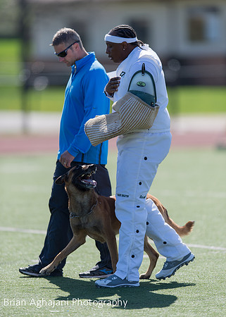 20150410_AWDF__seq1495_BrianAghajani.jpg