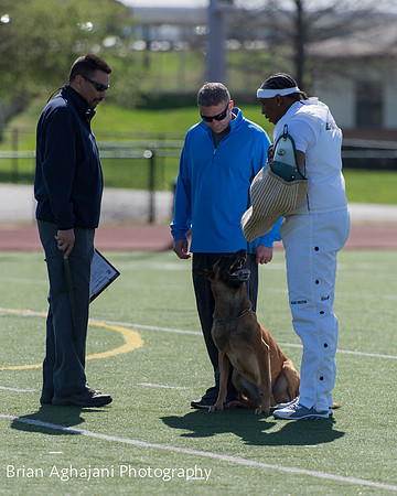20150410_AWDF__seq3472_BrianAghajani.jpg