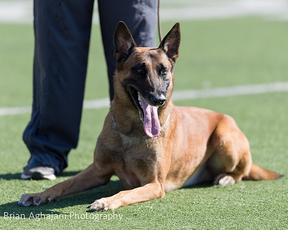 20150410_AWDF__seq1507_BrianAghajani.jpg