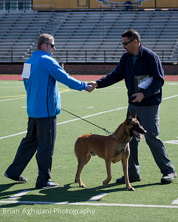 20150410_AWDF__seq3489_BrianAghajani.jpg