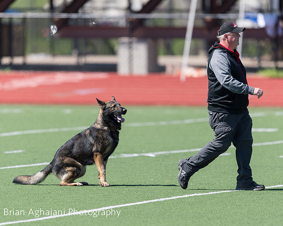 20150410_AWDF__seq1987_BrianAghajani.jpg