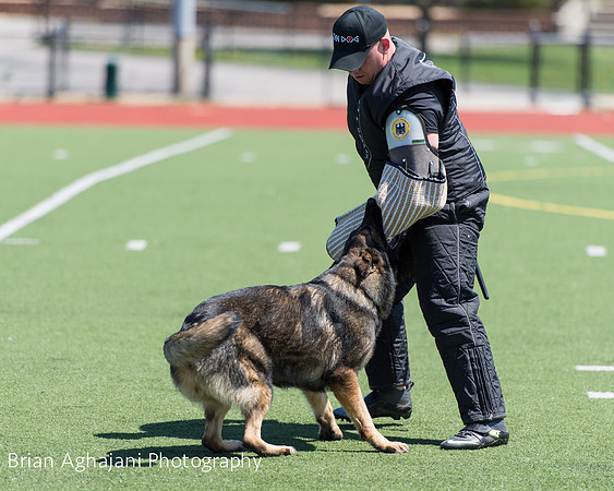 20150410_AWDF__seq3756_BrianAghajani.jpg