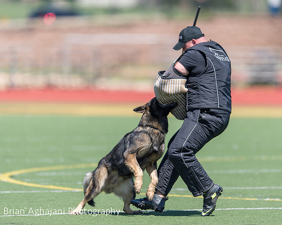 20150410_AWDF__seq2836_BrianAghajani.jpg