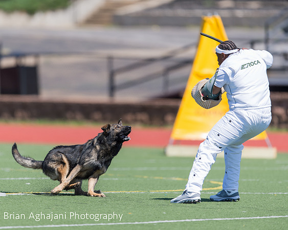 20150410_AWDF__seq2849_BrianAghajani.jpg