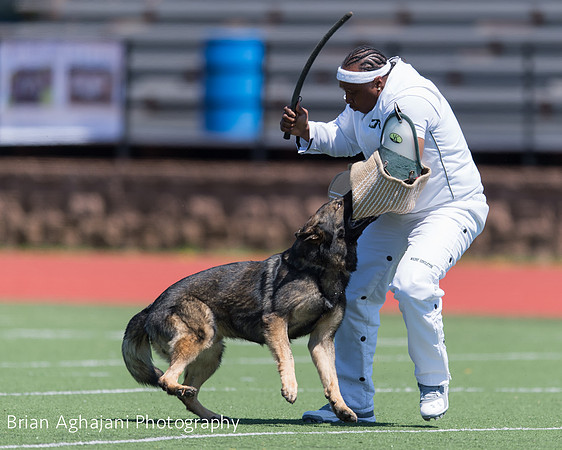 20150410_AWDF__seq2861_BrianAghajani.jpg