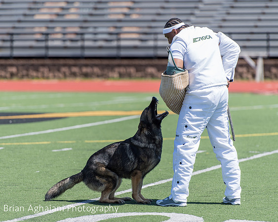 20150410_AWDF__seq3777_BrianAghajani.jpg