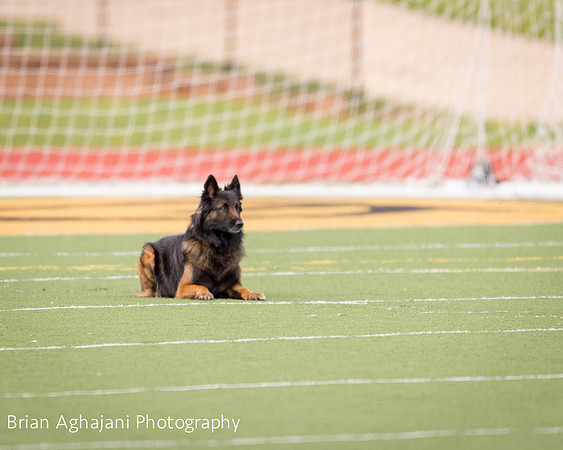 20150411_AWDF-8350_b.aghajani.jpg