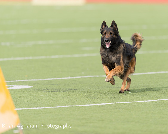 20150411_AWDF-9232_b.aghajani.jpg