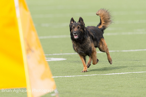 20150411_AWDF-9233_b.aghajani.jpg