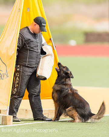 20150411_AWDF-9246_b.aghajani.jpg