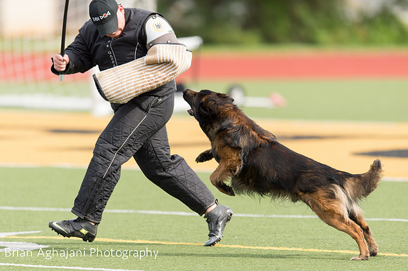 20150411_AWDF-9261_b.aghajani.jpg