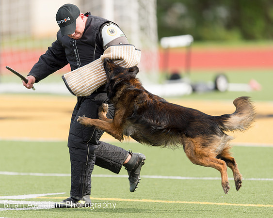 20150411_AWDF-9262_b.aghajani.jpg