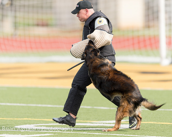 20150411_AWDF-9264_b.aghajani.jpg
