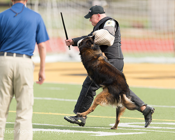 20150411_AWDF-9267_b.aghajani.jpg