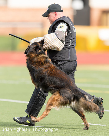 20150411_AWDF-9273_b.aghajani.jpg