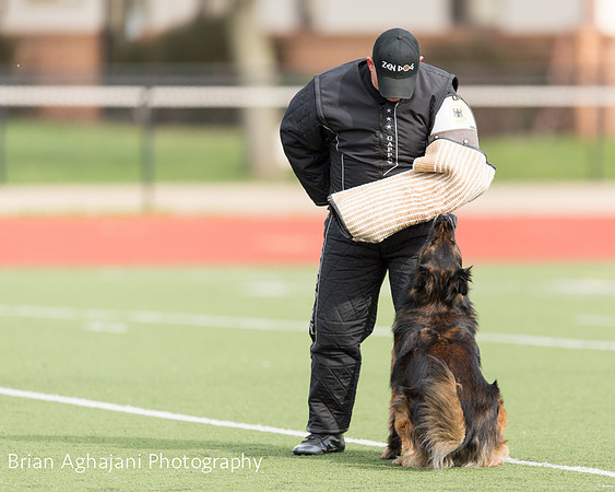 20150411_AWDF-9281_b.aghajani.jpg