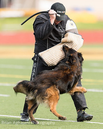 20150411_AWDF-9293_b.aghajani.jpg