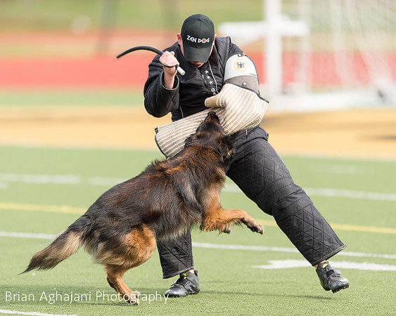 20150411_AWDF-9294_b.aghajani.jpg