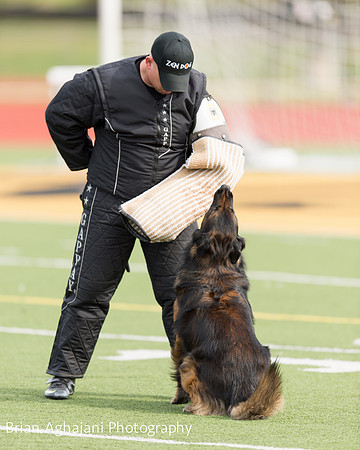 20150411_AWDF-9297_b.aghajani.jpg