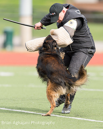 20150411_AWDF-9305_b.aghajani.jpg