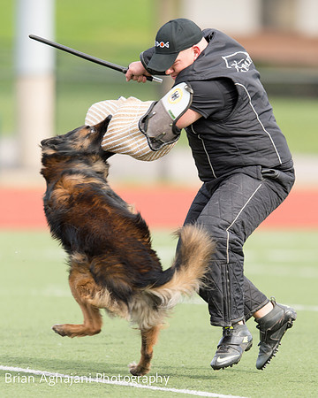20150411_AWDF-9306_b.aghajani.jpg