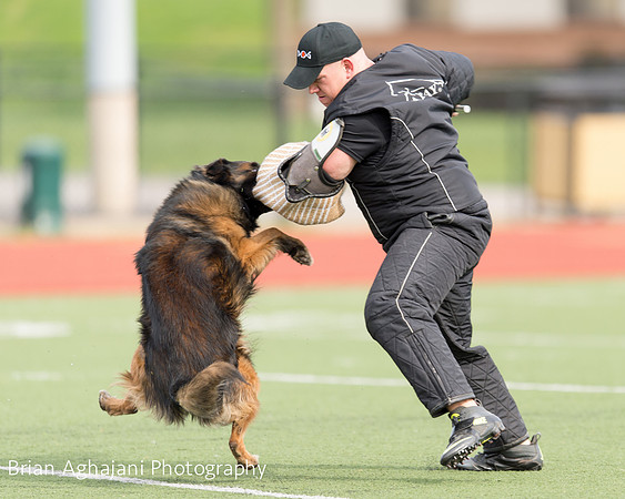 20150411_AWDF-9307_b.aghajani.jpg