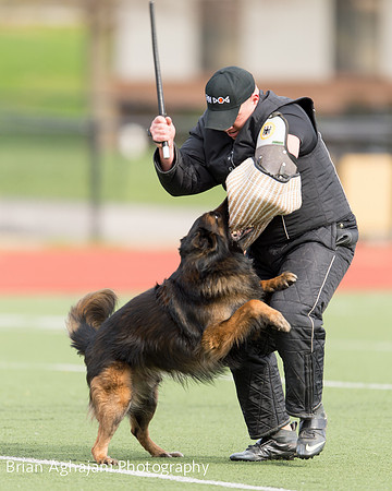 20150411_AWDF-9312_b.aghajani.jpg