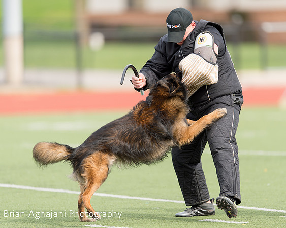 20150411_AWDF-9321_b.aghajani.jpg