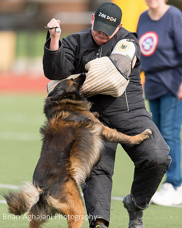 20150411_AWDF-9327_b.aghajani.jpg