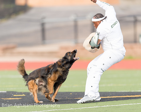 20150411_AWDF-9357_b.aghajani.jpg