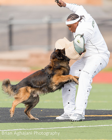 20150411_AWDF-9358_b.aghajani.jpg