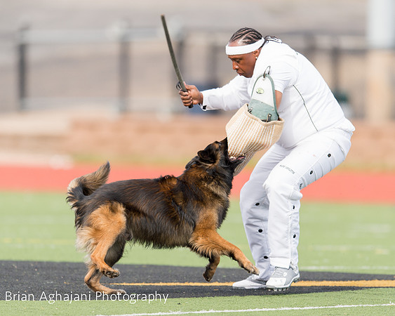 20150411_AWDF-9368_b.aghajani.jpg