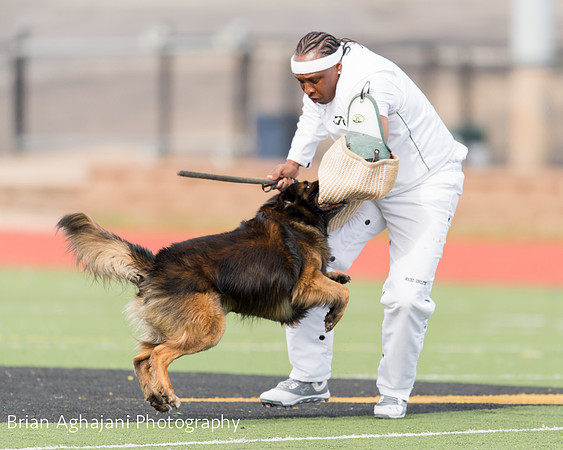 20150411_AWDF-9370_b.aghajani.jpg