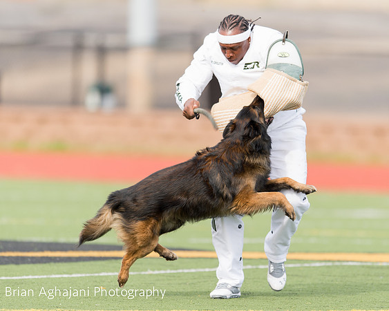 20150411_AWDF-9378_b.aghajani.jpg