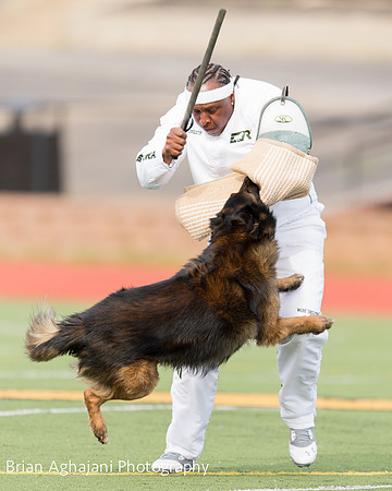 20150411_AWDF-9381_b.aghajani.jpg