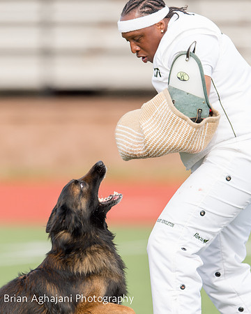 20150411_AWDF-9386_b.aghajani.jpg