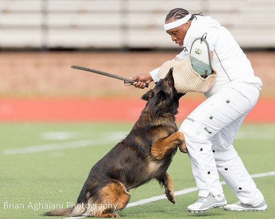 20150411_AWDF-9387_b.aghajani.jpg