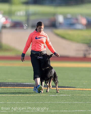 20150411_AWDF-4479_b.aghajani.jpg