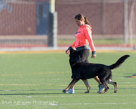 20150411_AWDF-4486_b.aghajani.jpg